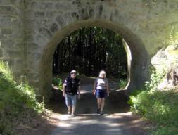 Resize of Talpa 033.jpg